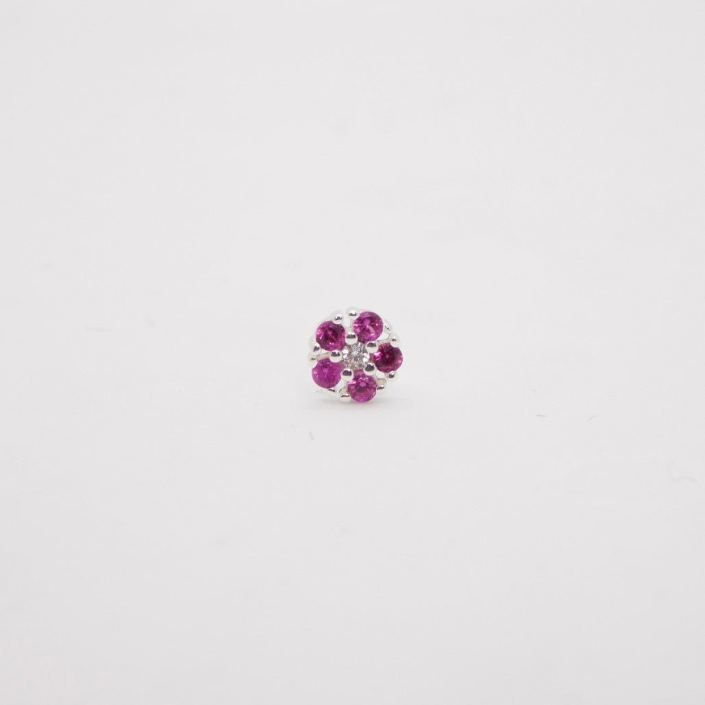 Orecchini Daisy lobo ARGENTO fucsia